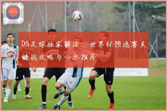 DS足球独家解读:世界杯预选赛关键战攻略与心水推荐
