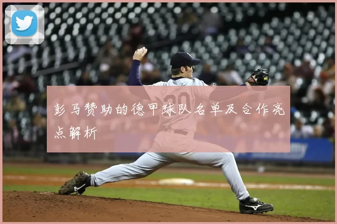 彭马赞助的德甲球队名单及合作亮点解析