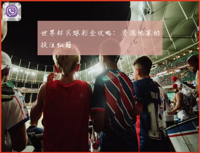 世界杯买球彩全攻略:资深玩家的投注秘籍