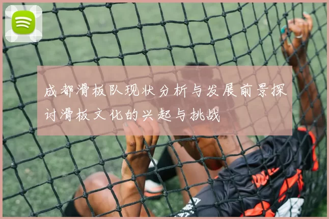 成都滑板队现状分析与发展前景探讨滑板文化的兴起与挑战