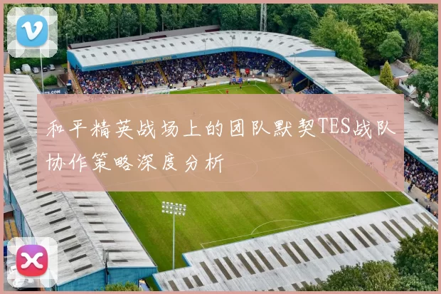 和平精英战场上的团队默契TES战队协作策略深度分析