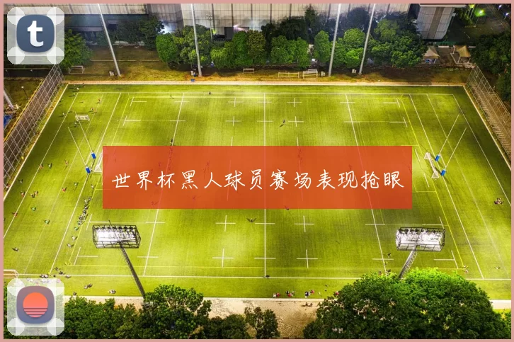 世界杯黑人球员赛场表现抢眼