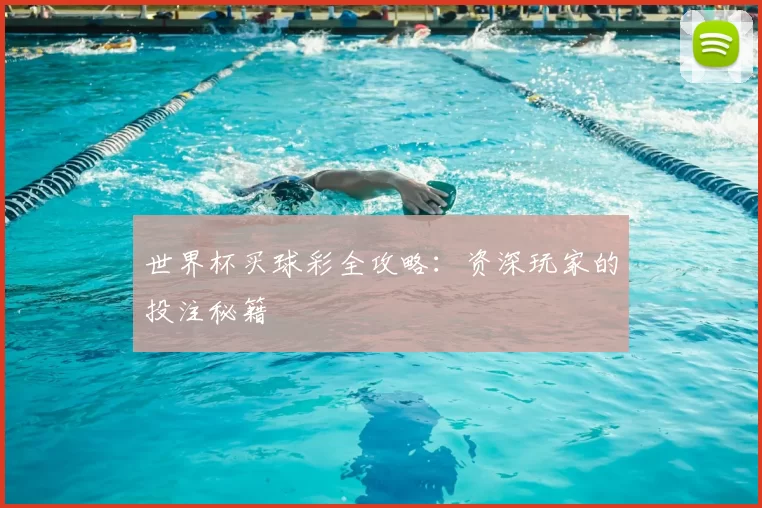 世界杯买球彩全攻略：资深玩家的投注秘籍