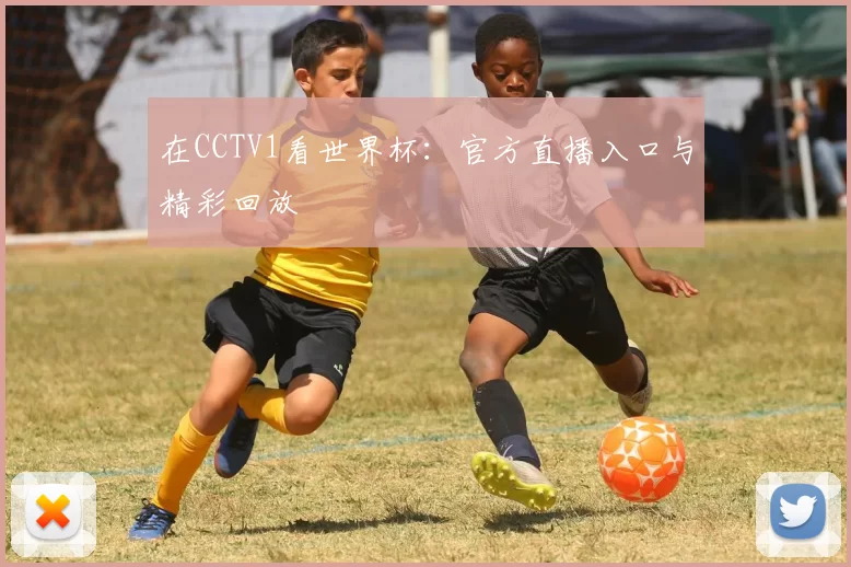 在CCTV1看世界杯：官方直播入口与精彩回放