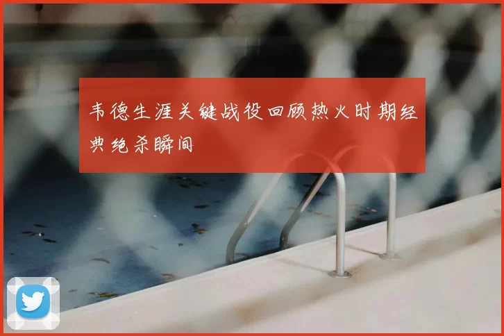 韦德生涯关键战役回顾热火时期经典绝杀瞬间