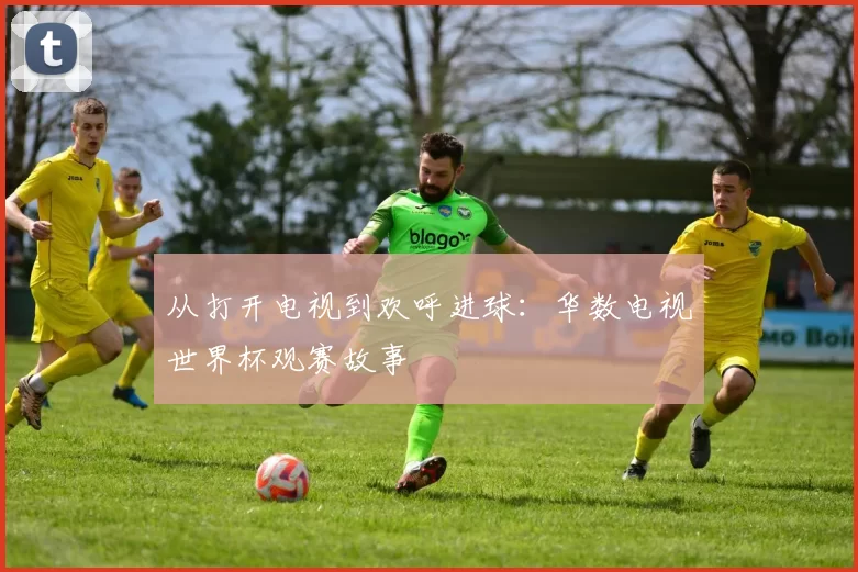 从打开电视到欢呼进球:华数电视世界杯观赛故事