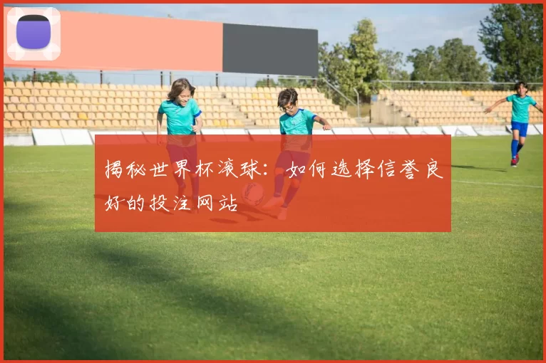 揭秘世界杯滚球：如何选择信誉良好的投注网站