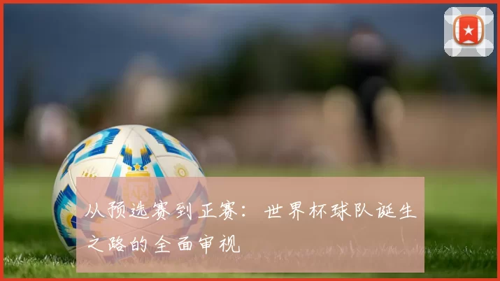从预选赛到正赛：世界杯球队诞生之路的全面审视