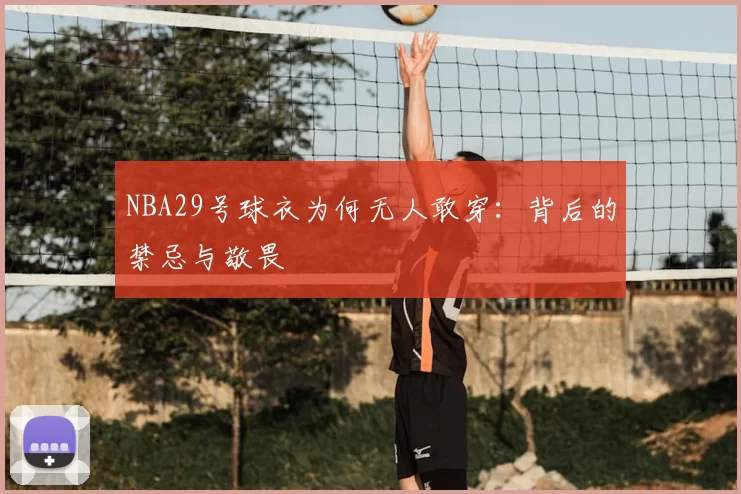 NBA29号球衣为何无人敢穿：背后的禁忌与敬畏